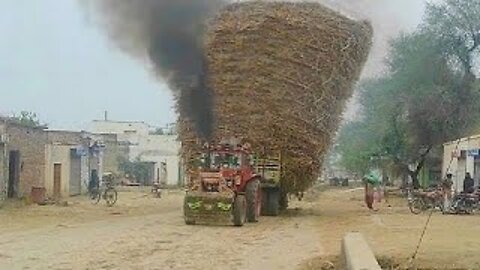 Powerful Tractors are pulling trailers in turns Belarus farmer Tractor are emitting a lot of smoke