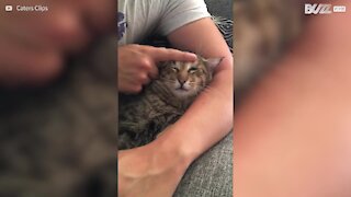 Cat licks owner's finger so he can wash
