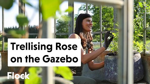 Planting ROSES, CLEMATIS, & LONG BEANS on Gazebo — Ep. 188