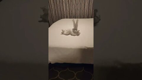 Towel Animal on Symphony of the Seas