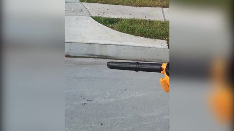 Little Dude Vs. Giant Leaf Blower