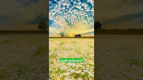 Beautiful Natural sky ❤❤❤ බලන්න මේ පරිසරයේ #shortvideo #shortsfeed #nuwaraeliya #subscribe #shorts