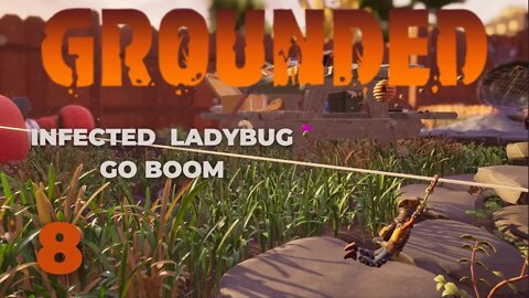 Infected Ladybug!! No Problem - Grounded Into The Wood - 8