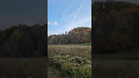 Fall Colors From The Great Smoky Mountains Railroad! - Part 9