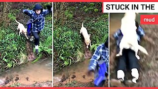 'Show-off' dog owner tries to leap across flooded path - falls in mud instead