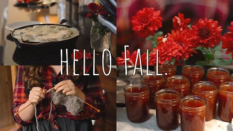 The Coziest Fall Vlog 🍂 Spend the day with us! #applebutter #cinnamonrolls #knitting #applepicking