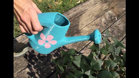 Working 3D Printed Watering Can