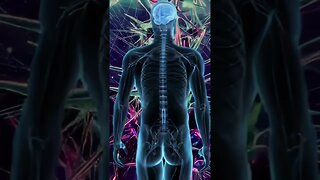 Neuro-enhancement Meditation: Cultivating Focus & Memory Through Enhanced Neuronal Connections