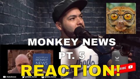 Monkey News with Karl Pilkington (Sebs Reaction!) pt 5 the mammal with the pointiest eyes