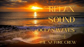 Relaxing Sounds Ocean Waves and Seagulls