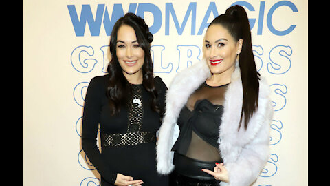 Brie and Nikki Bella had to evacuate homes due to the Californian wildfires: 'All of a sudden our house got filled with smoke'