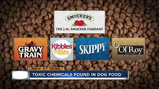 Euthanasia drug found in dog food, popular brands pulled from shelves
