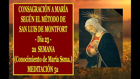 CONSAGRACIÓN A MARÍA SEGÚN EL MÉTODO DE SAN LUIS DE MONTFORT 23 - 5a MEDITACIÓN de la 2a SEMANA -