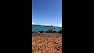 Hawaii Oio Fishing