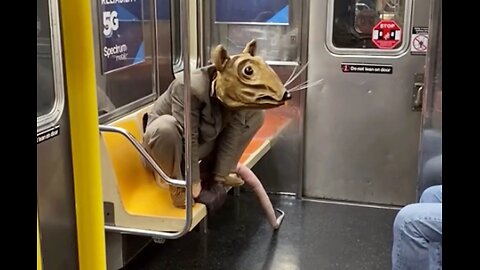 New York's Subway Rat🐀
