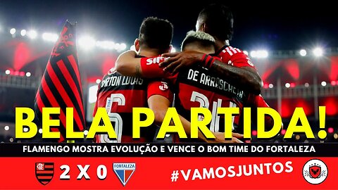 Flamengo faz uma bela partida e avança no Brasileirão