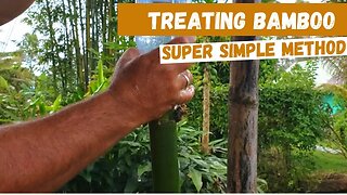 Preserving Bamboo with Vertical Soak Diffusion, Super Easy Method You Can Do In Your Own Backyard