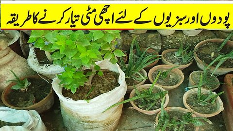 Home garden design ideas gardening tips growing seeds timing starting 😀