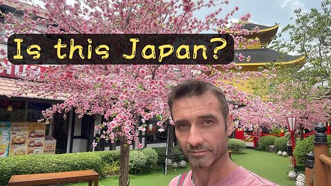Thai-Japanese Fusion Delights: A Si Racha Adventure #vlog #Japan #thailand