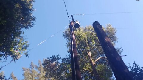 Stevens Canyon Trail: Power Line Down / Update