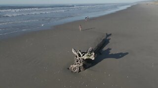 A day at the Beach