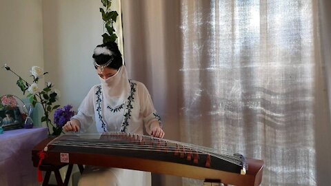 Guzheng Cover#Plum Blossom#Mei Hua#Teresa Teng