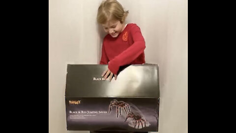 Black and Red Jumping Spider- Unboxing and assembly