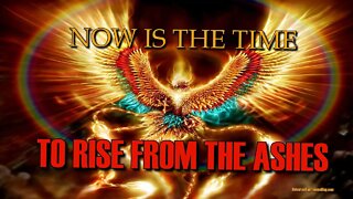 NOW IS THE TIME TO RISE FROM THE ASHES #energyupdate #consciousness