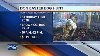 3rd Annual Dog Easter Egg Hunt