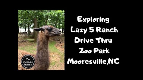 Exploring Lazy 5 Ranch Drive Thru Zoo Park Mooresville,NC