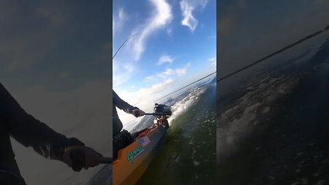 Ultra Lazy Kayak! don't be jealous