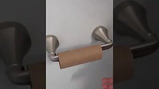 Asians vs Americans using the toilet