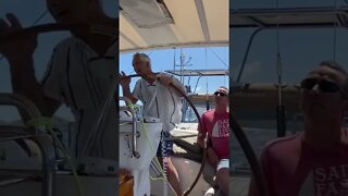 Sailing Cruiser Must-Know 7 #shorts