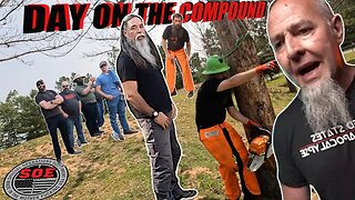 They chopped down my trees PART2 DOC193 #woodchipper #woodchip #farming #farmlife #prepper #prepping