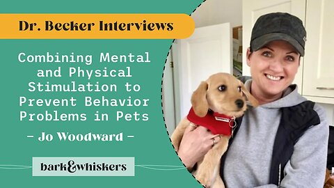 Combining Mental and Physical Stimulation to Prevent Behavior Problems in Pets
