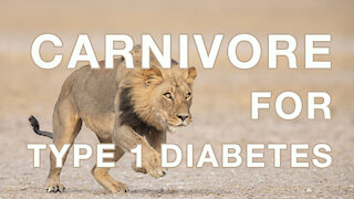Carnivore for Type 1 Diabetes