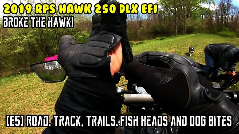 [E5] Broke the Hawk! , Road, Track, Trails, Fish Heads and Dog Bites. EFI RPS Hawk DLX 250