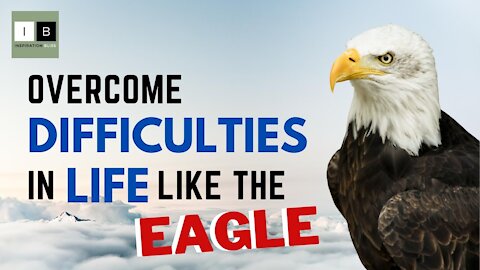 Overcome Difficulties in Life Like the Eagle
