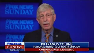 NIH Director: Wuhan Lab Leak Theory Is A Distraction