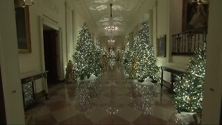 Meridian woman helps decorate The White House