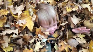 A Tot Boy VS A Huge Pile Of Leaves