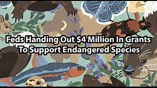 Feds Handing Out $4 Million In Grants To Support Endangered Species