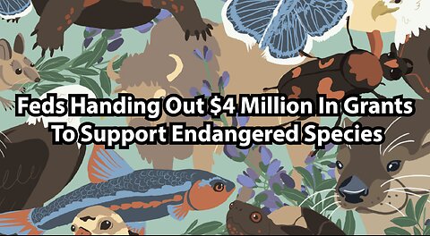 Feds Handing Out $4 Million In Grants To Support Endangered Species