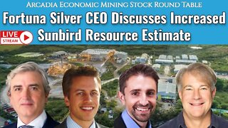 Fortuna Silver CEO Discusses Increased Sunbird Resource Estimate, New Regional Prospects at Séguéla