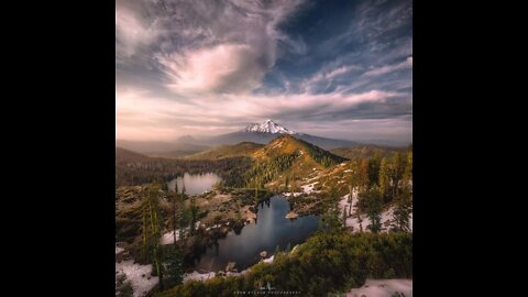 Dropping a Big & Tall Lodge Pole Pine tree, Mount Shasta California