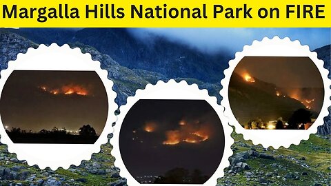 Margalla National Park on FIRE