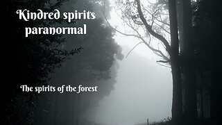 The spirits in the Forest