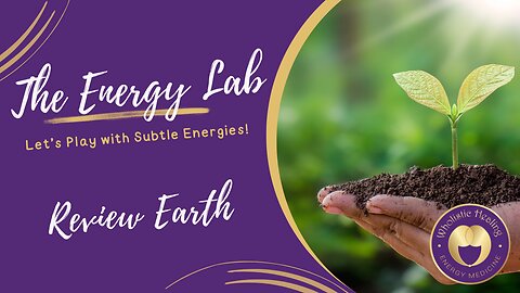 The Energy Lab - Review Subtle Earth