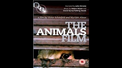 The Animals Film 1981