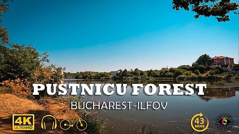 PUSTNICU Forest, Bucharest - Ilfov | Classical piano music | 4k Virtual Tour | 🇷🇴